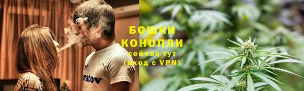 индика Няндома