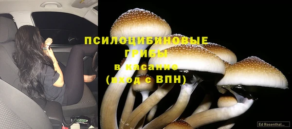прущие крисы Аркадак