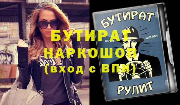 индика Няндома