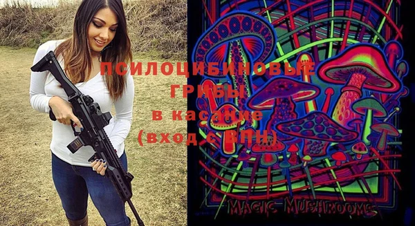 гашик Арсеньев