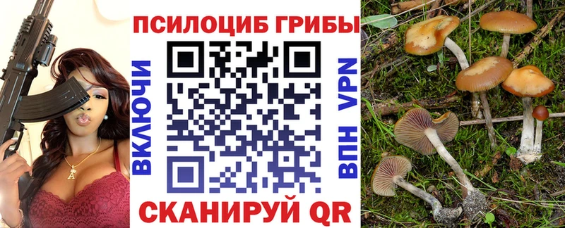 Галлюциногенные грибы прущие грибы Теберда